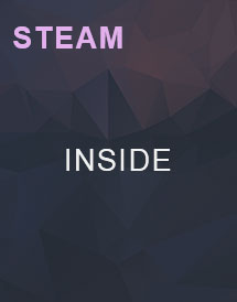 Inside STEAM KEY [GLOBAL]